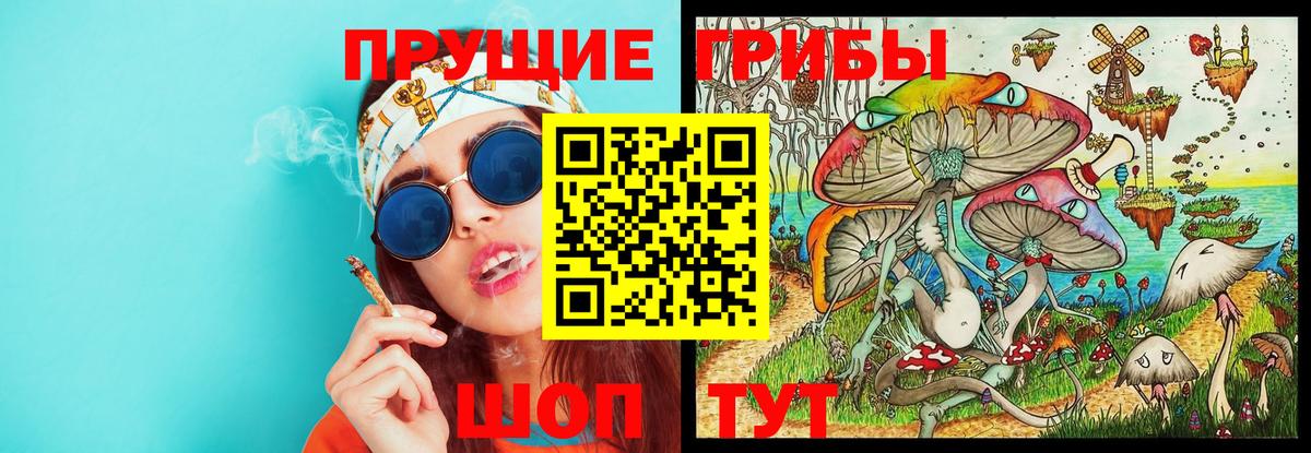 Псилоцибиновые грибы ЛСД  Вход с VPN  Псилоцибиновые грибы GOLDEN TEACHER  Владивосток 